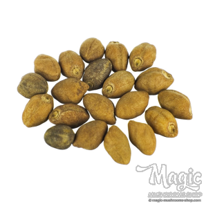 Ololiuqui seeds | Rivea Corymbosa | 20 seeds