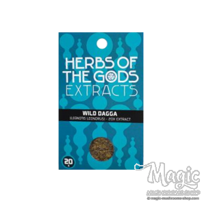 Wild Dagga | Leonotis Leonorus Extract 20x