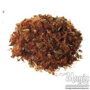 Wild Dagga | Leonotis Leonorus | Flower