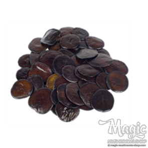 Yopo seeds | Anadenanthera peregrina 