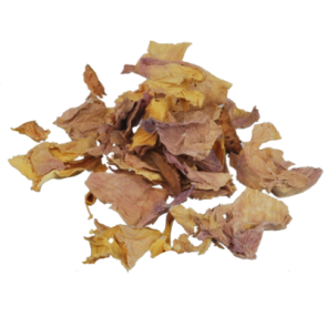 Pink Lotus Flowers | Nelumbo Nucifera 