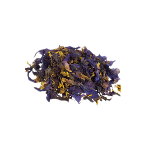 Blue Lotus (Nymphaea caerulea)