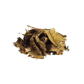 Chaliponga Diplopterys cabrerana 