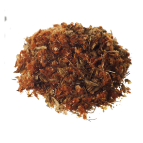 Wild Dagga | Leonotis Leonorus | Flower