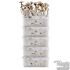 Photo FreshMushrooms® grow kit Discount 5 pack