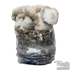 Photo Jack Frost Cloud920® XL Ready-to-grow bag