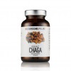 Photo Chaga (Inonotus Obliquus) Mushroom Capsules  | Mushrooms4life