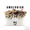 Photo Mondo® Grow Kit PES Amazonian XL