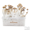 Photo FreshMushrooms® grow kit Mexican