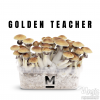 Photo Mondo® Grow Kit Golden Teacher
