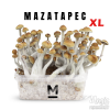 Photo Mondo® Grow Kit Mazatapec XL