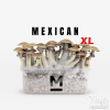 Photo Mondo® Grow Kit Mexican XL
