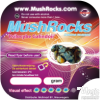 Photo Magic Truffles Galindoi Mushrocks