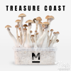 Photo Mondo® Grow Kit Treasure Coast