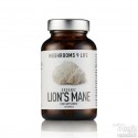 Lion's Mane capsules | Mushrooms4life