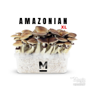 Mondo® Grow Kit PES Amazonian XL