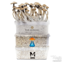 Magic Mushroom Grow Kits Combi Deal - 3 Pack