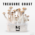 Mondo® Grow Kit Treasure Coast