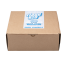 Albino Golden Teacher Cloud920® Classic XL