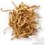  Cordyceps Mushroom Supplement Capsules | Mushrooms4life