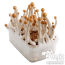 Magic Mushroom Grow Kit Mazatapec; A first flush of the 