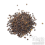 Catmint (Nepeta cataria) seeds