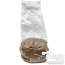 Sterile Millet Spawn Bag 