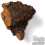 Chaga  Inonotus Obliquus Mushroom
