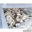 Boomer Shroomer with Blue Ghost cubensis