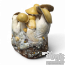 Mac Galactic Cloud920® Ready-to-grow bag