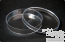 petri dish two parts