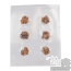 Microdosing Magic Truffles | Vacume sealed