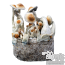 Yellow Umbo Cloud920 Grow Kit