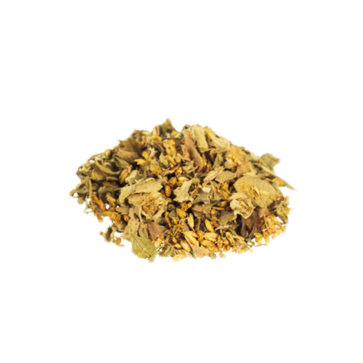 Dreamherbs  Calea Zacatechichi