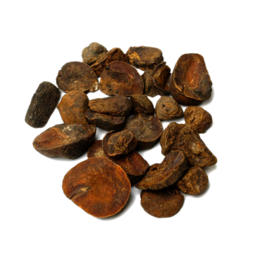 Kola Nut | Cola Nitida | Whole nuts