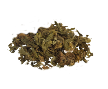 Klip Dagga | Leonotis nepetifolia