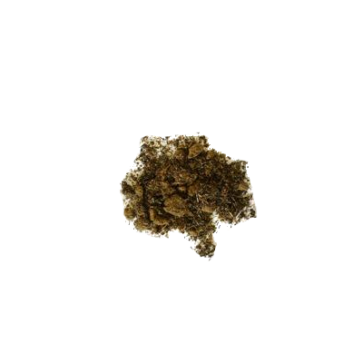 Estragón Mexicano | Tagetes lucida | Extracto 10x