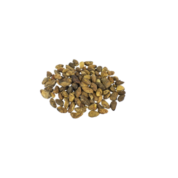  Voacanga Africana seeds