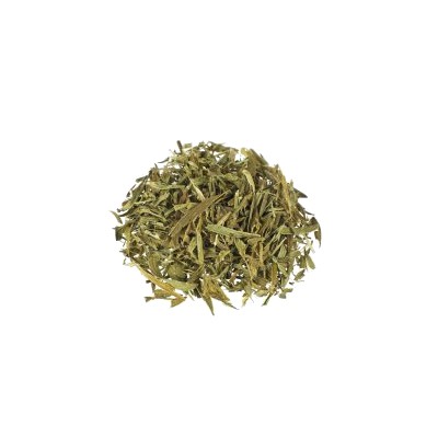 Maconha Brava | Zornia latifolia