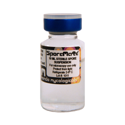 McKennaii magic mushroom espora vial