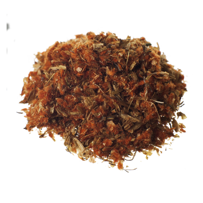 Dagga silvestre | Leonotis Leonorus | Flor