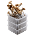 Oferta de descuento del kit de cultivo GetMagic® 3XL