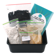 Kit de cultivo de cactus peyote