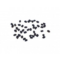 Cactus Antorcha del Perú Trichocereus peruvianus | 100 semillas