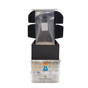 magic mushroom combi pack dicount