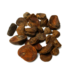 Kola Nut | Cola Nitida | Whole nuts