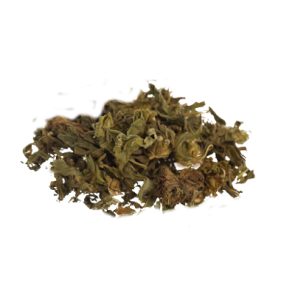 Klip Dagga | Leonotis nepetifolia