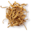  Cordyceps Mushroom Supplement Capsules | Mushrooms4life