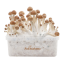 kit de cultivo de Setas Alucinógenas de FreshMushrooms®