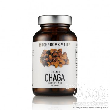 Chaga (Inonotus Obliquus) Mushroom Capsules Mushrooms4life Chaga (Inonotus Obliquus) Mushroom Capsules Mushrooms4life